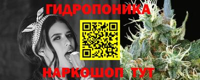 ALPHA-PVP Можга