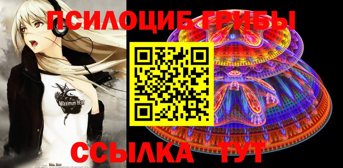 Псилоцибиновые грибы Psilocybe Рузаевка