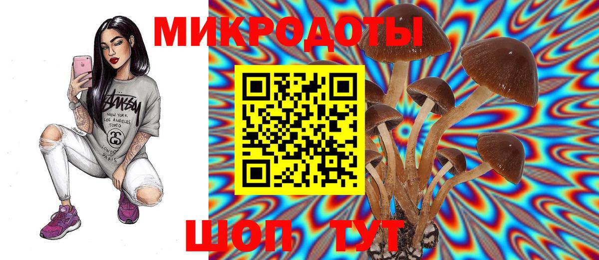 Рузаевка  Галлюциногенные грибы мухоморы  Вход с VPN 